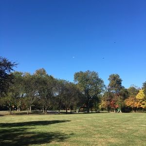 Hi there...welcome! I’m Natasha!